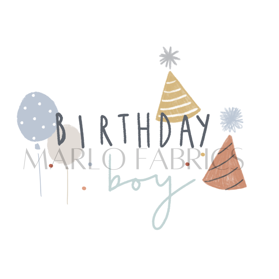 Birthday Boy - Heat Transfer