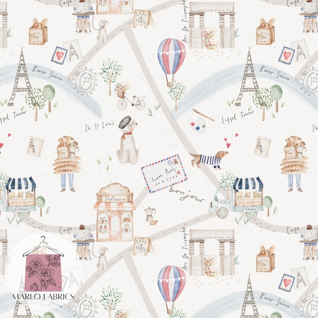A trip to Paris- Pre Order 586