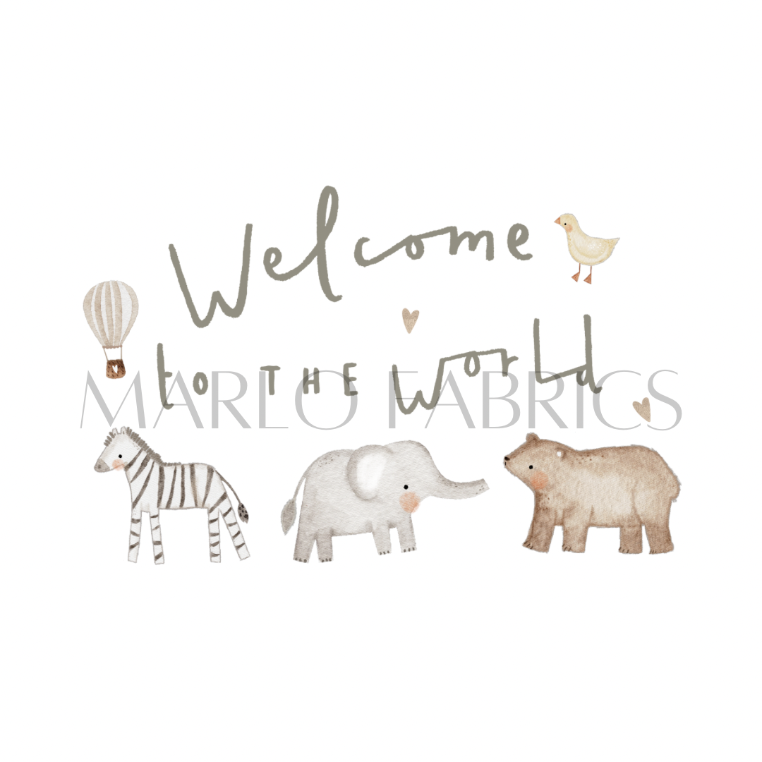 Welcome to the world - Heat Transfer