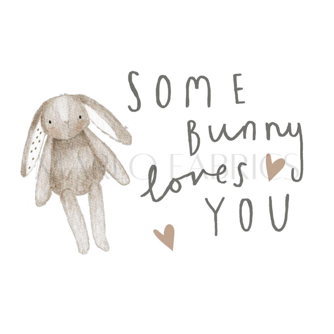 Some Bunny Loves You - Heat Transfer - IN STOCK