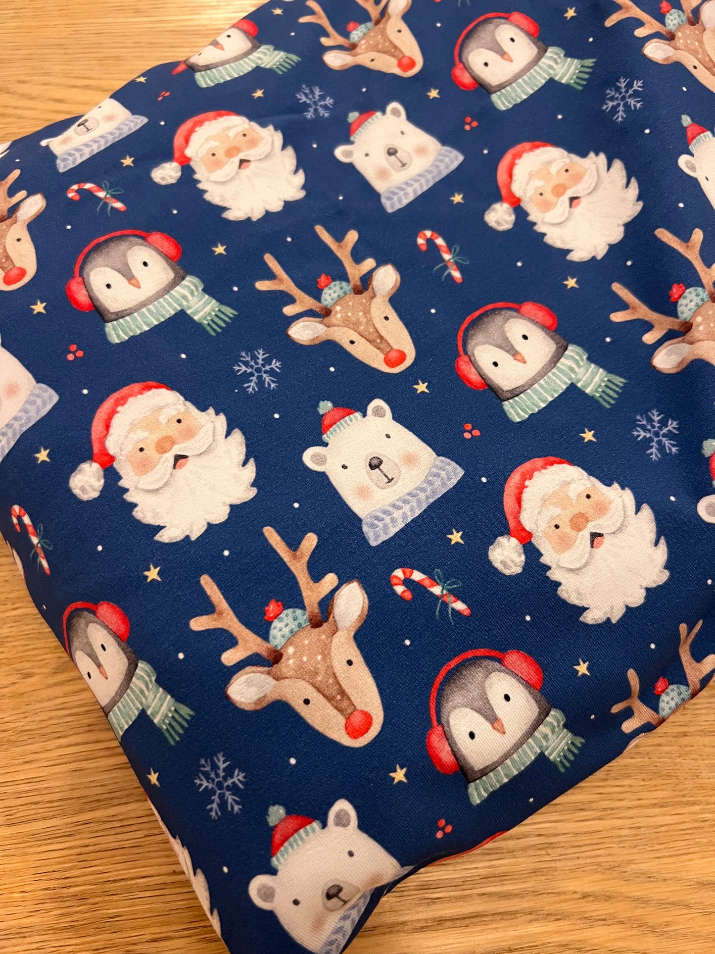 Santa & Friends - Navy