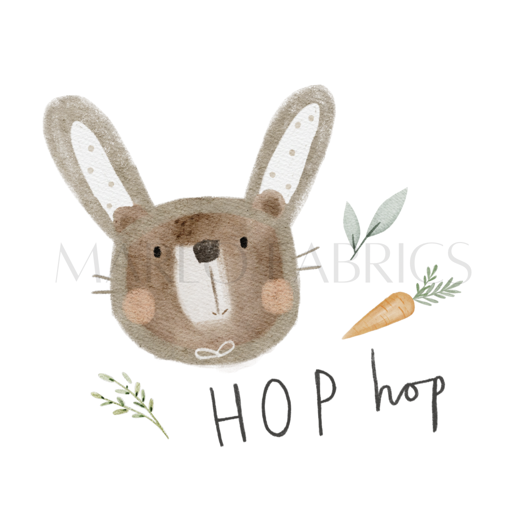 Hop Hop - Heat Transfer
