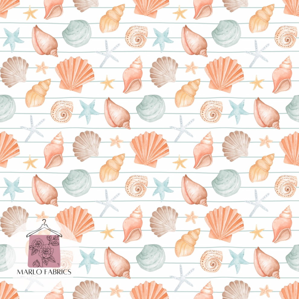 Seashells