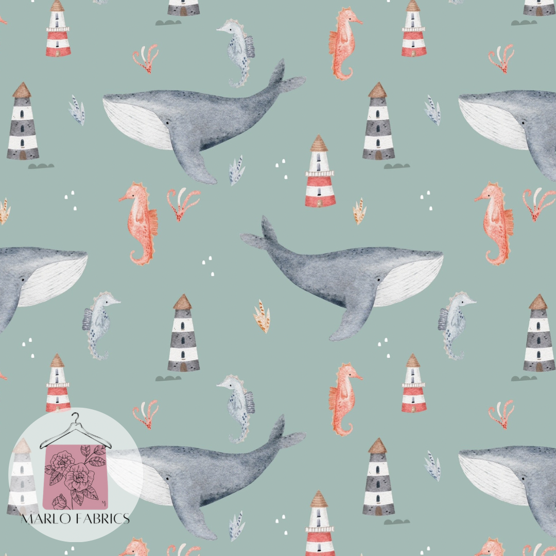 Sailaway - Pre Order 513