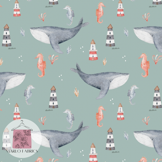 Sailaway - Pre Order 513