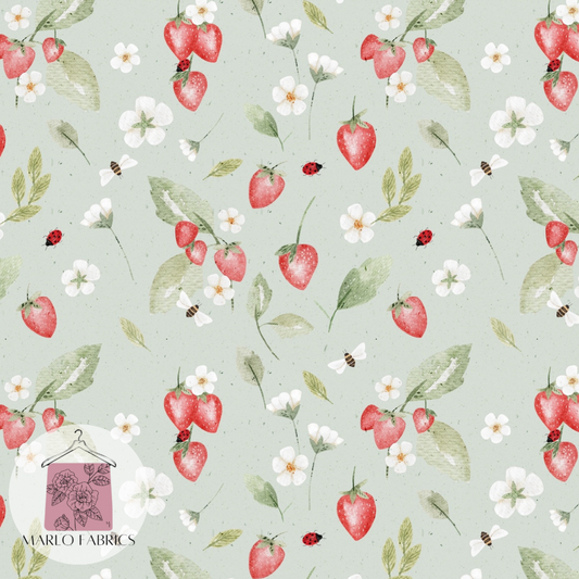 Strawbs - Mint - Pre Order 519