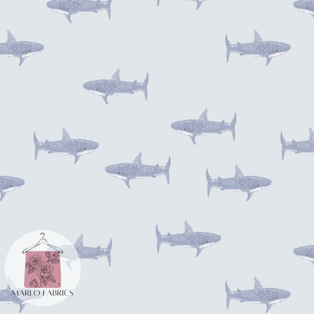 Baby Shark  - Pre Order 538