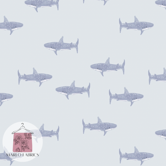 Baby Shark  - Pre Order 538