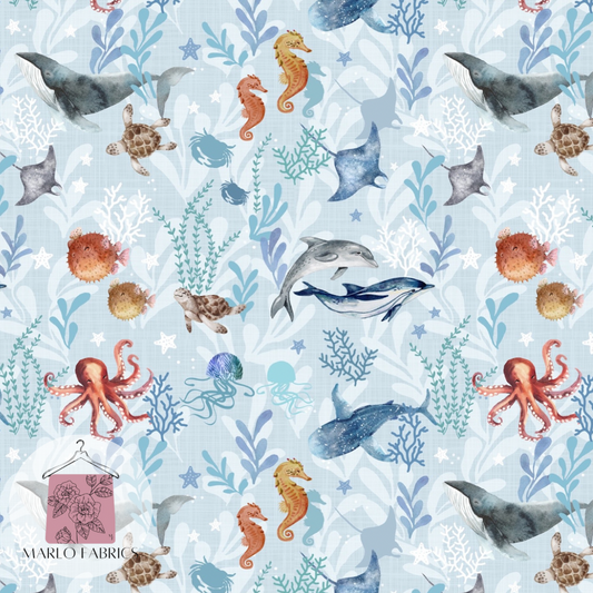 Reef - Pre Order 547