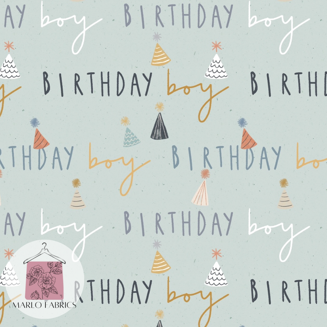 Birthday Boy - Pre Order 561