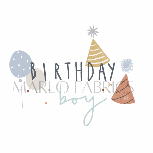 Birthday Boy - Heat Transfer