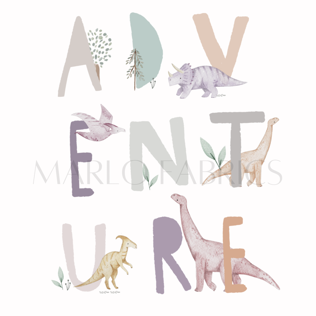Adventure - Pink  - Heat Transfer - IN STOCK
