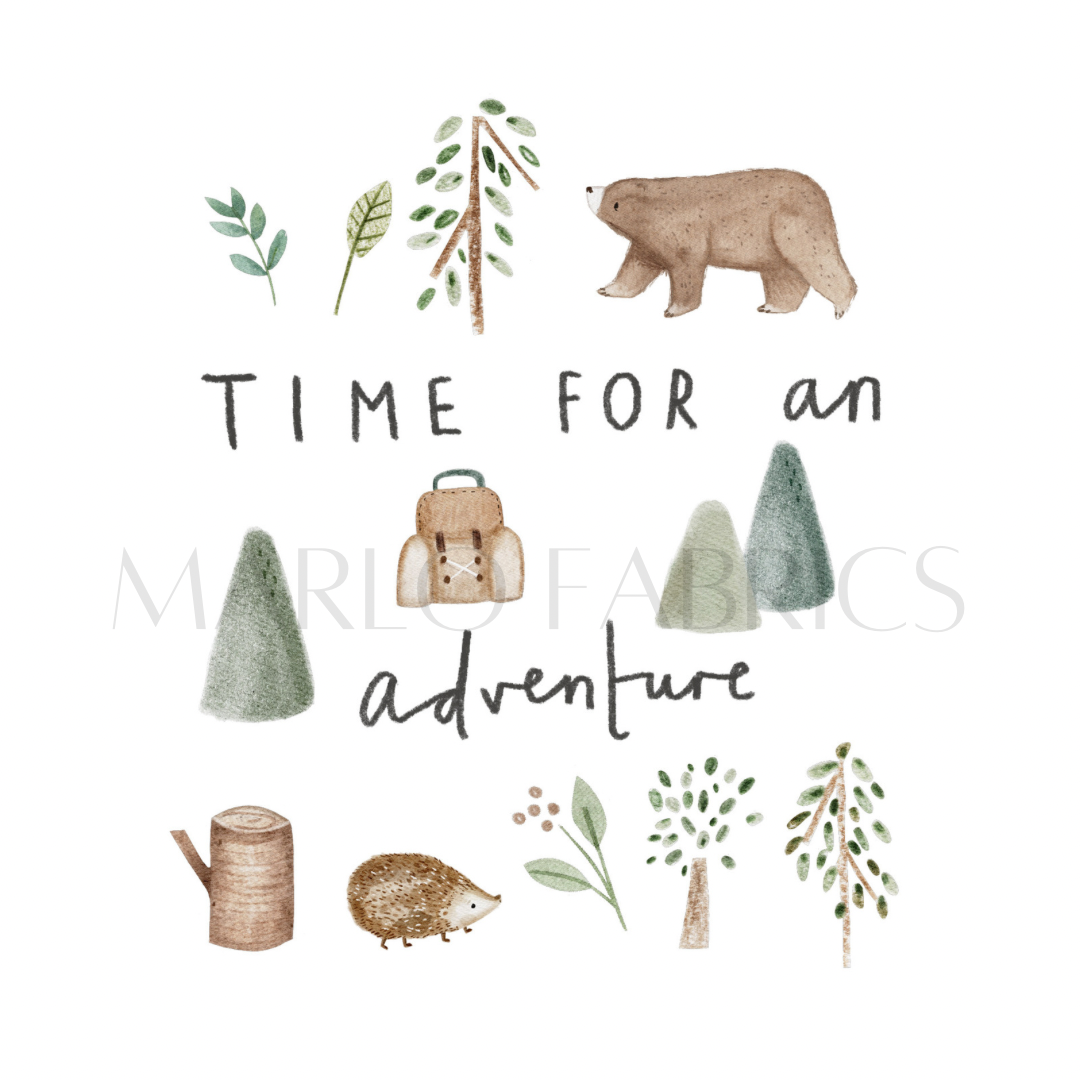 Time for an adventure - Heat Transfer