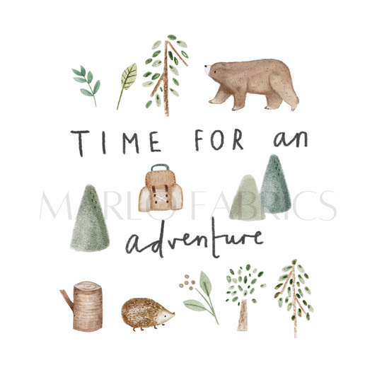 Time for an adventure - Heat Transfer