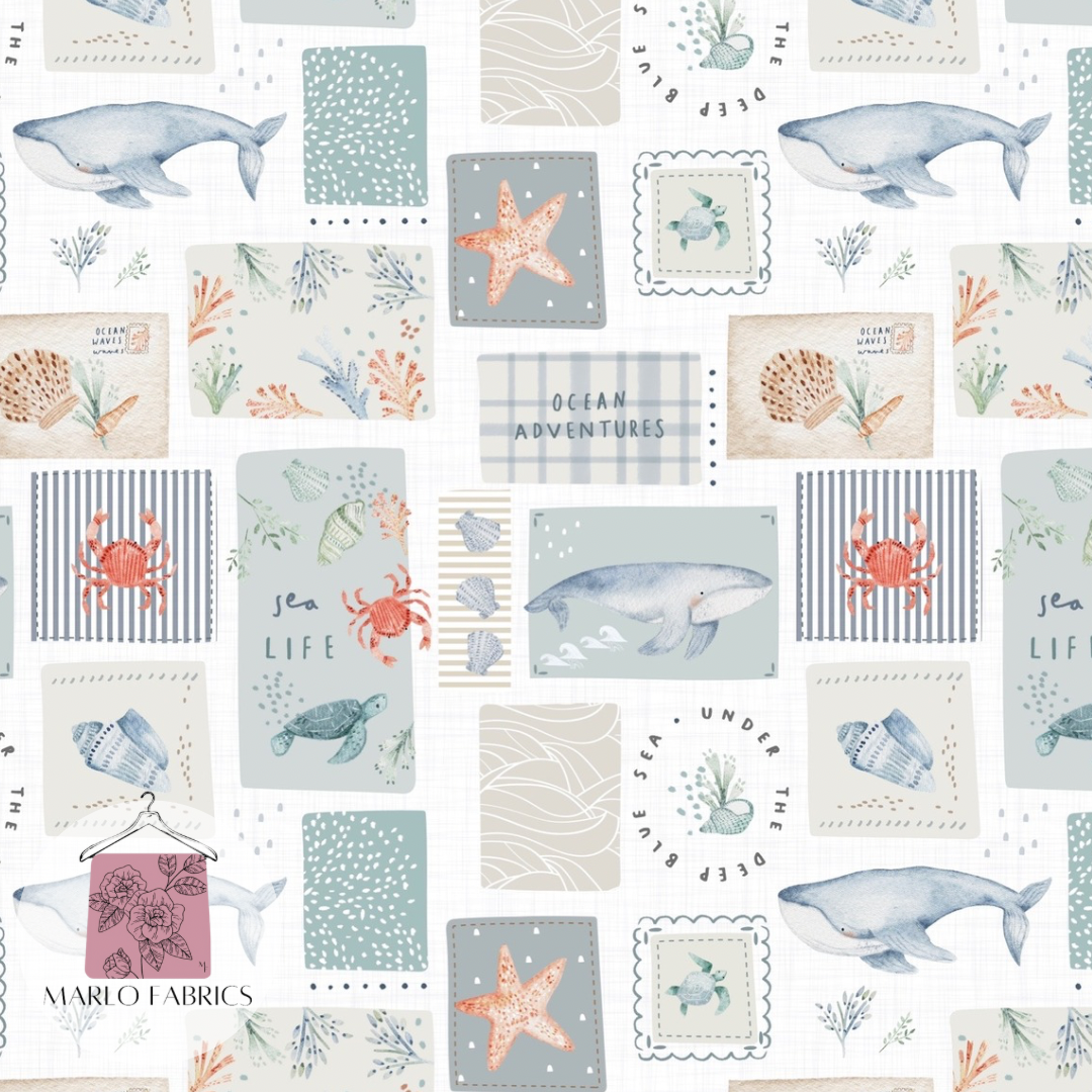 Cove - Wash  - Pre Order 704