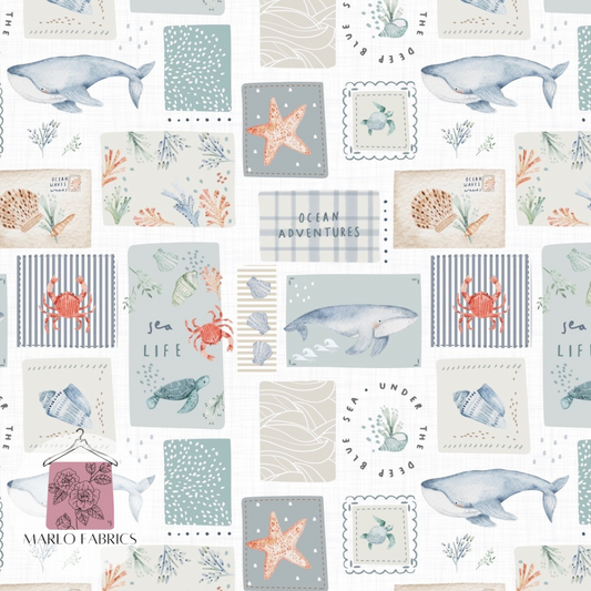 Cove - Wash  - Pre Order 704