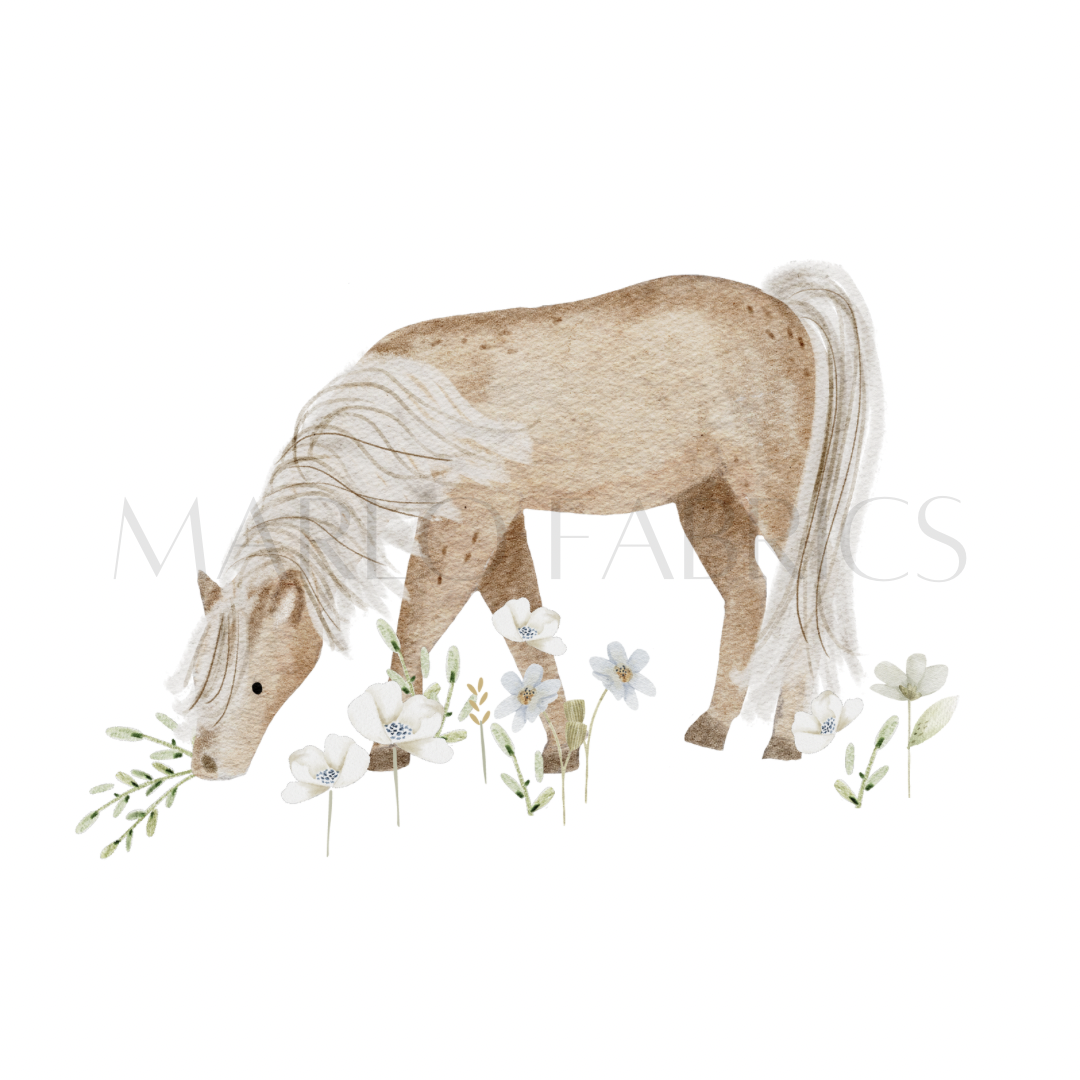 Pony  - Heat Transfer - IN STOCK
