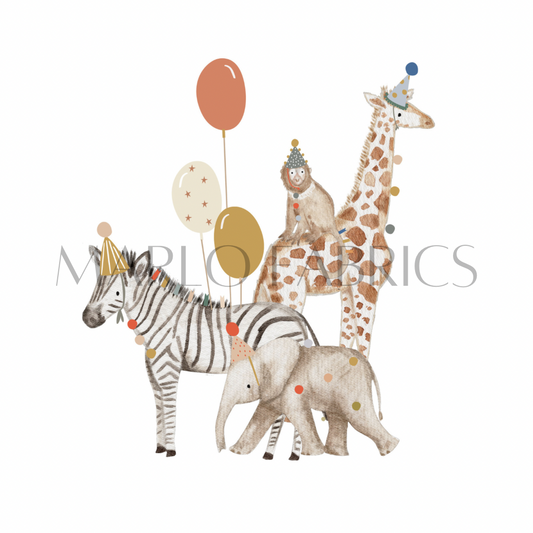 Safari - Balloon - Heat Transfer