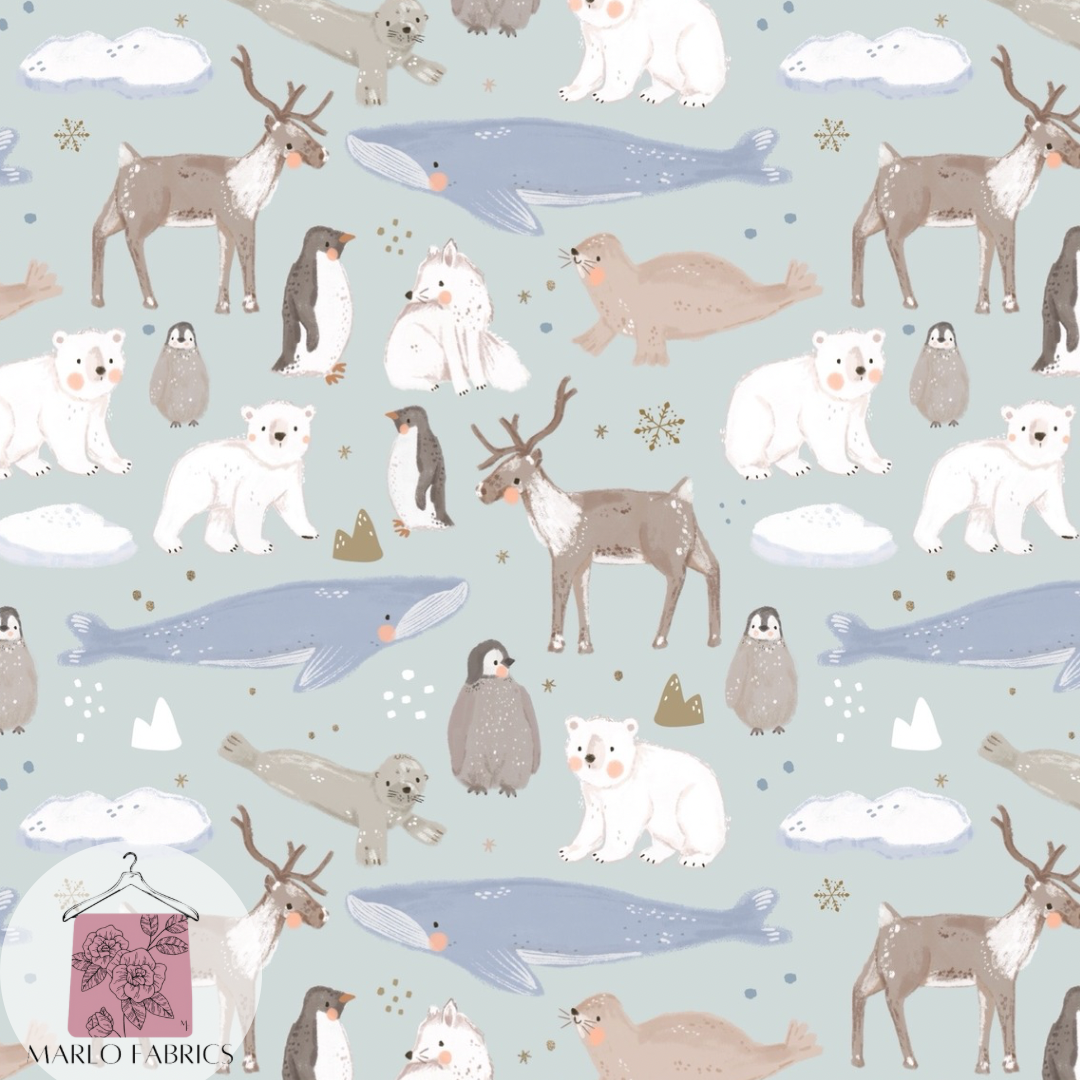 Parky - Ice - Pre Order 789