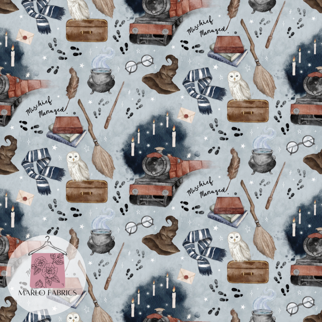 Off to Wizard School - Pre Order 229