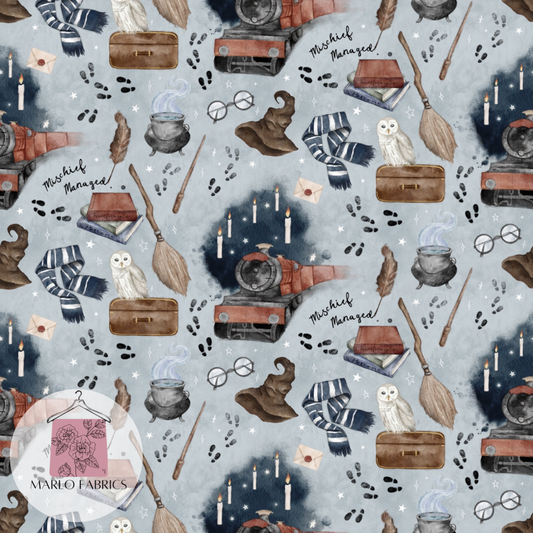 Off to Wizard School - Pre Order 229