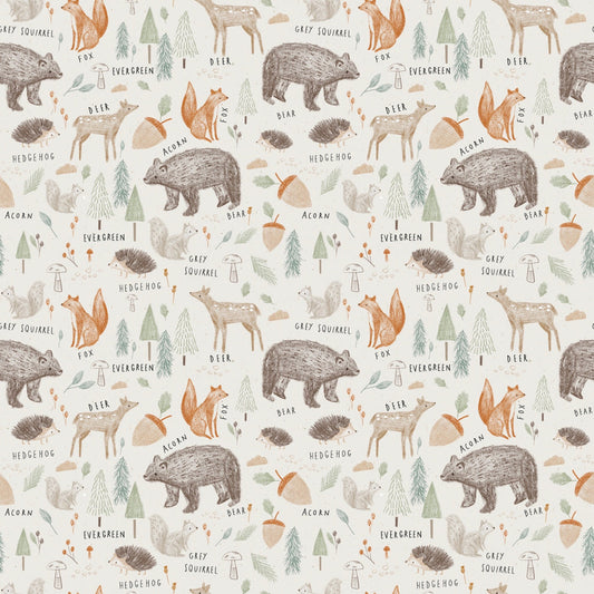 Woodland Animals  - PRE-ORDER