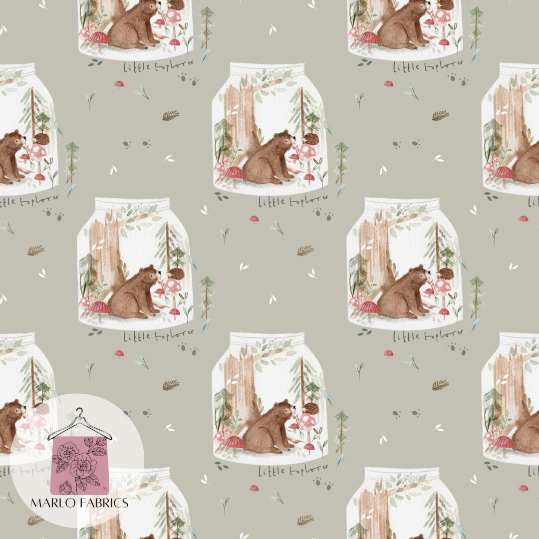 Little Explorer   - Pre Order 343