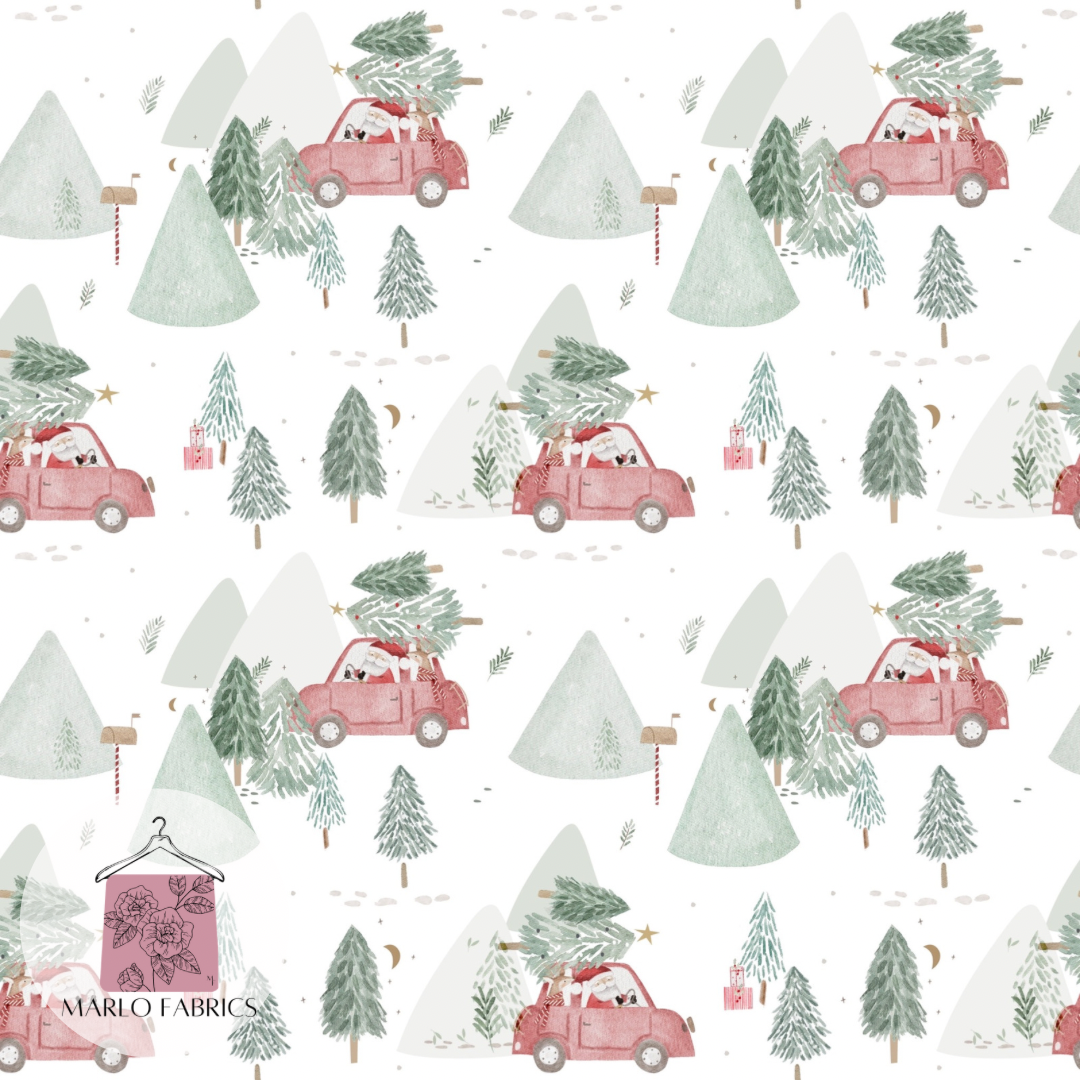 Ready for Xmas  - Pre Order 309