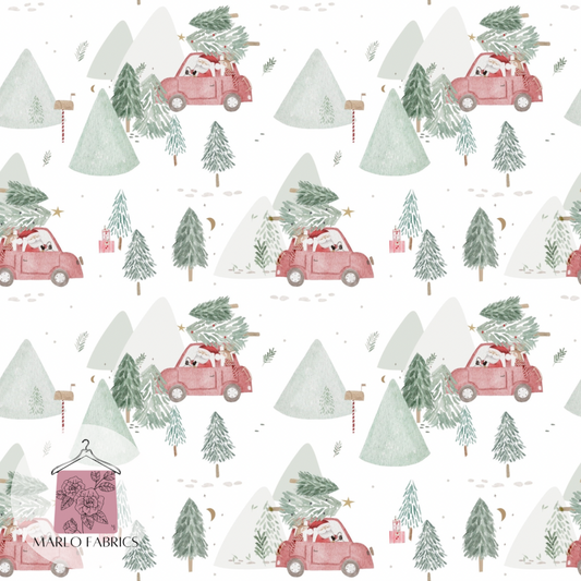 Ready for Xmas  - Pre Order 309