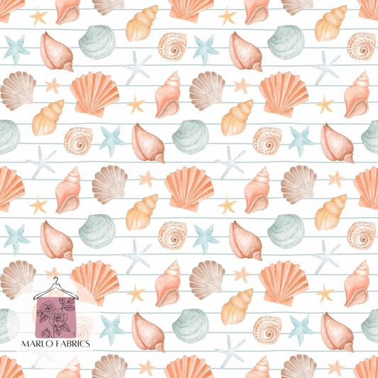 Seashells