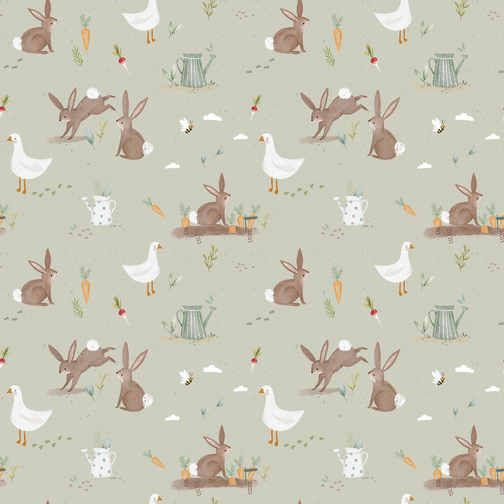 Cotton Tails